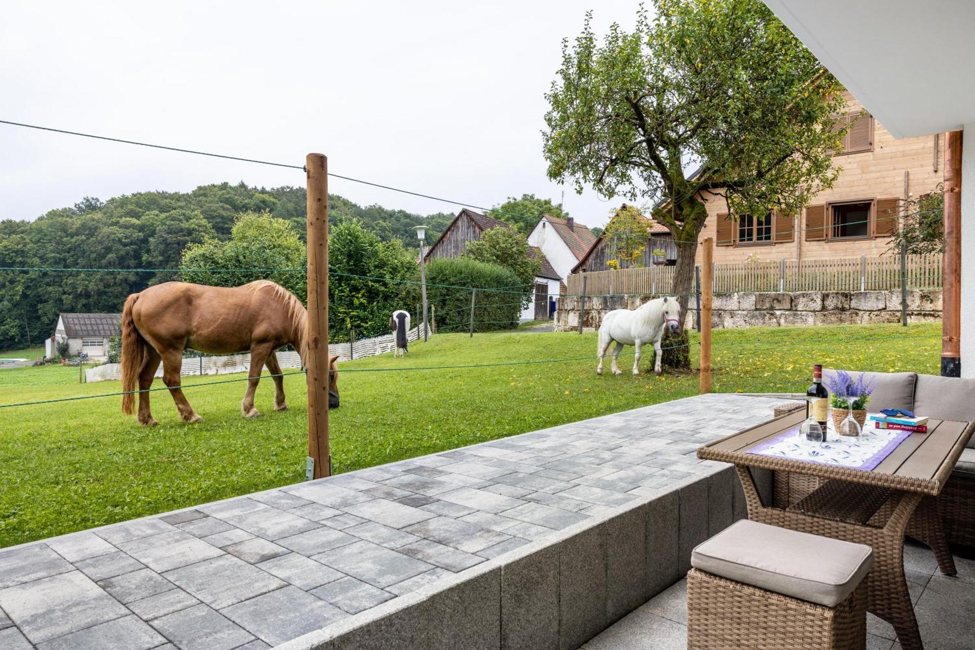 Appartement Brunnerhof Urlaub Auf Dem Land à Hartenstein  Extérieur photo